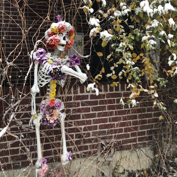 Meet your Posher, Blair - Picture 1 of 1